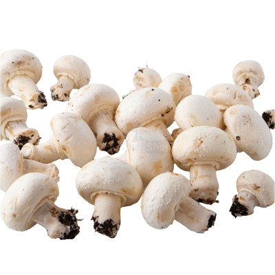 Шампиньоны свежие 500 г - купить в Коктуше